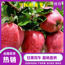 【有好货】甘肃新鲜应季水果花牛苹果大量供应品质保证批发