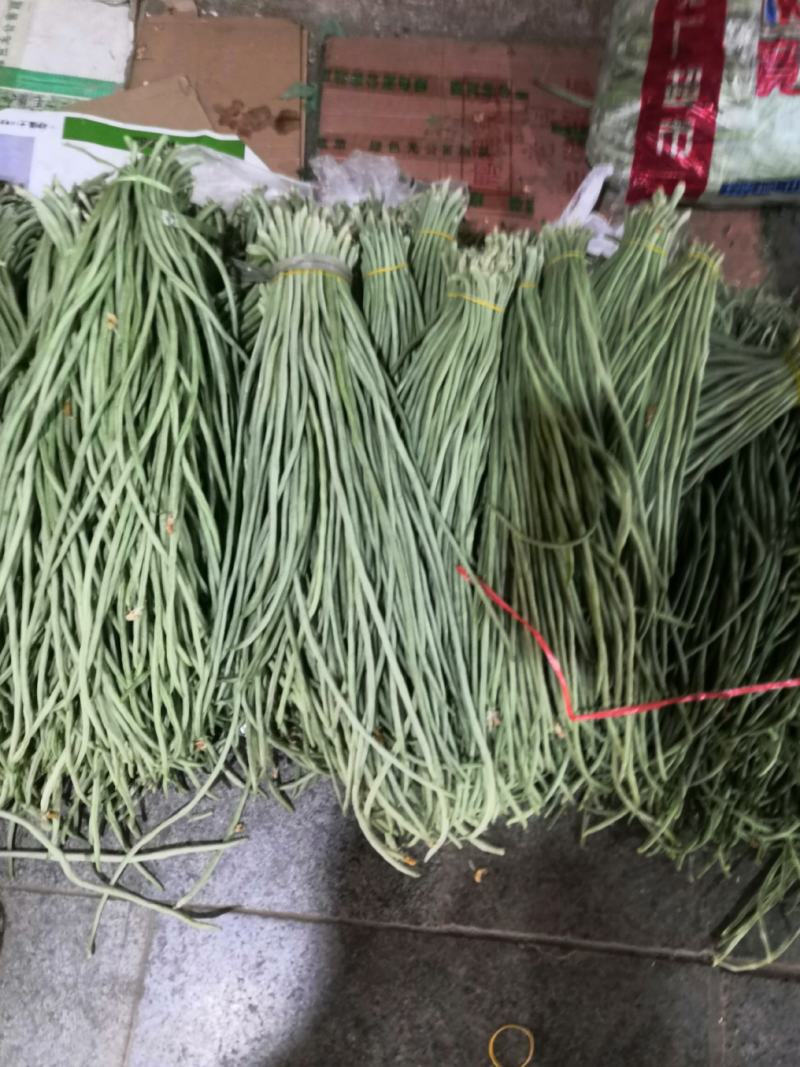 长豆角产地直销大量上市
