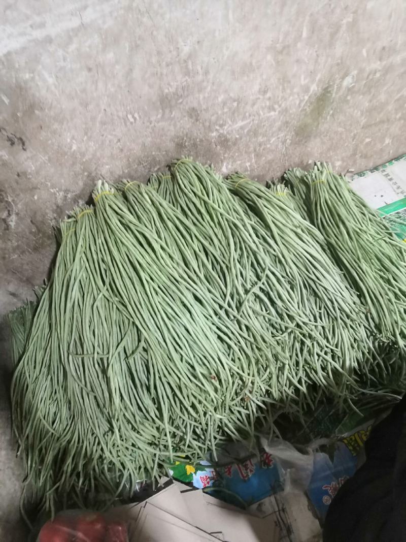 长豆角产地直销大量上市