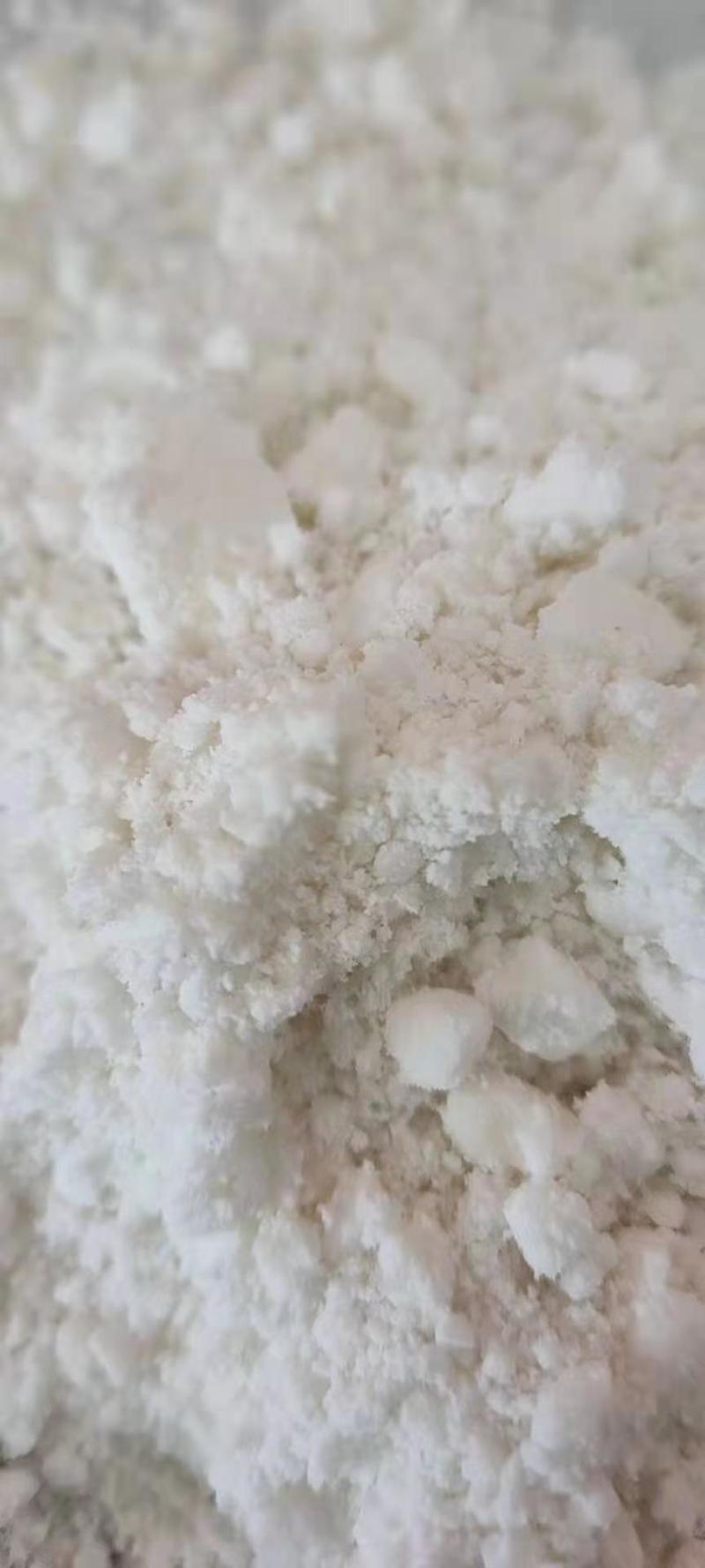 出售玉米次淀粉可做饲料！