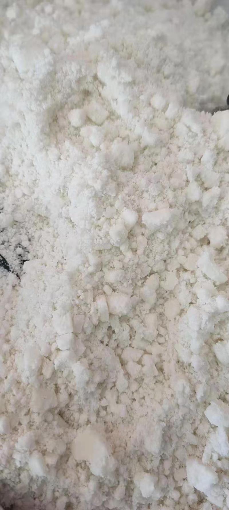 出售玉米次淀粉可做饲料！