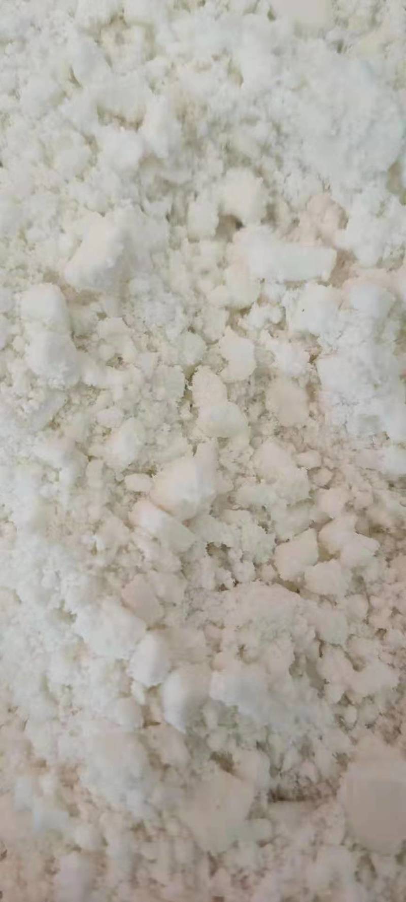 出售玉米次淀粉可做饲料！