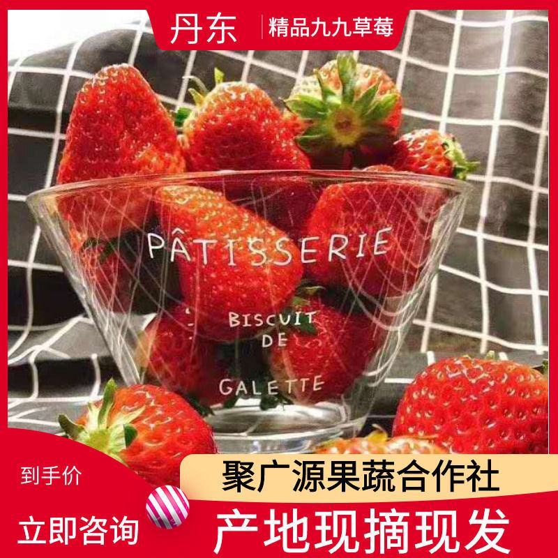 丹东九九草莓，红颜草莓〔基地直供〕支持电商一件代发