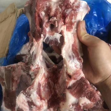 394羔羊胯骨满满的都是肉肉
