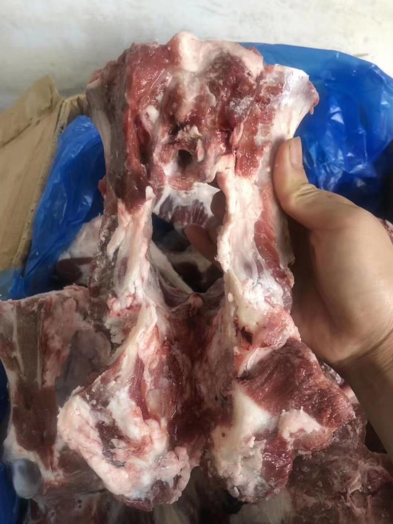 394羔羊胯骨满满的都是肉肉