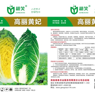 黄心耐寒娃娃菜/小白菜种子批发供应，蔬菜基地种子批发