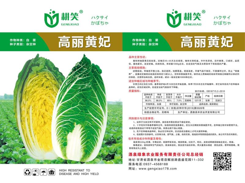 黄心耐寒娃娃菜/小白菜种子批发供应，蔬菜基地种子批发