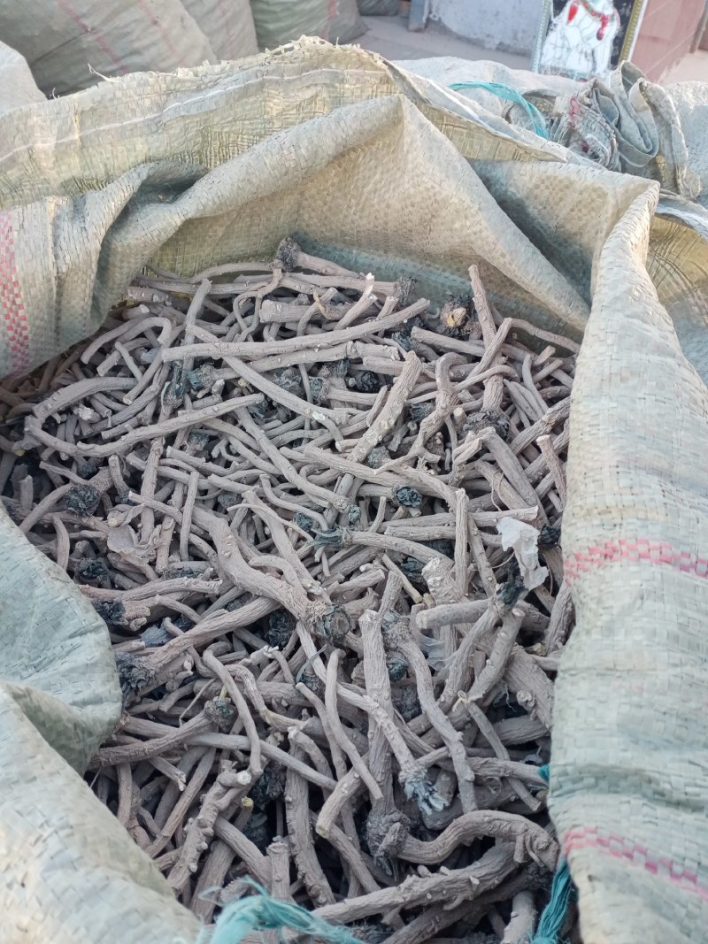 中药材板蓝根产地直销一手货原