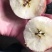 甘肃礼县花牛苹果新鲜香甜天水苹果