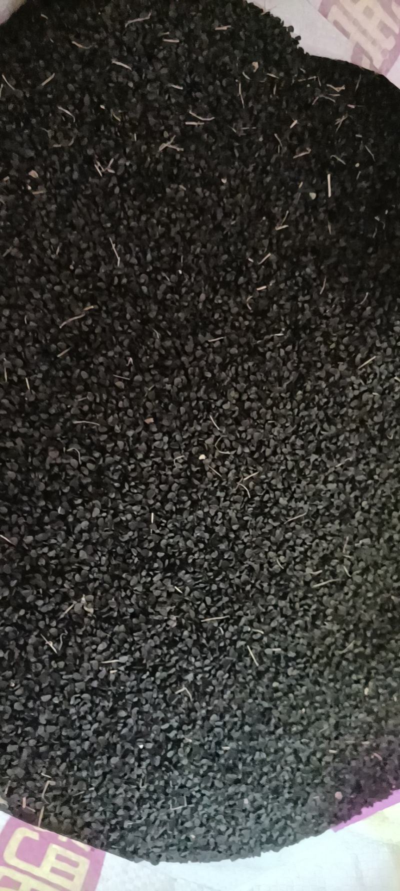 大葱白长六十公分纯度99%