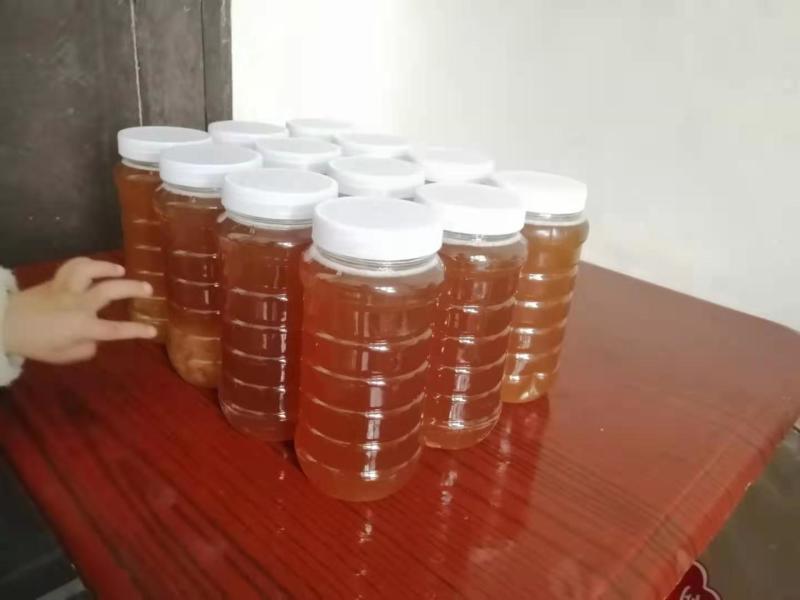 良岗山上养的蜜蜂采出的冬蜜