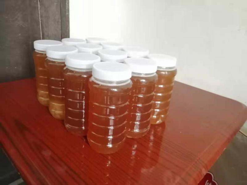 良岗山上养的蜜蜂采出的冬蜜