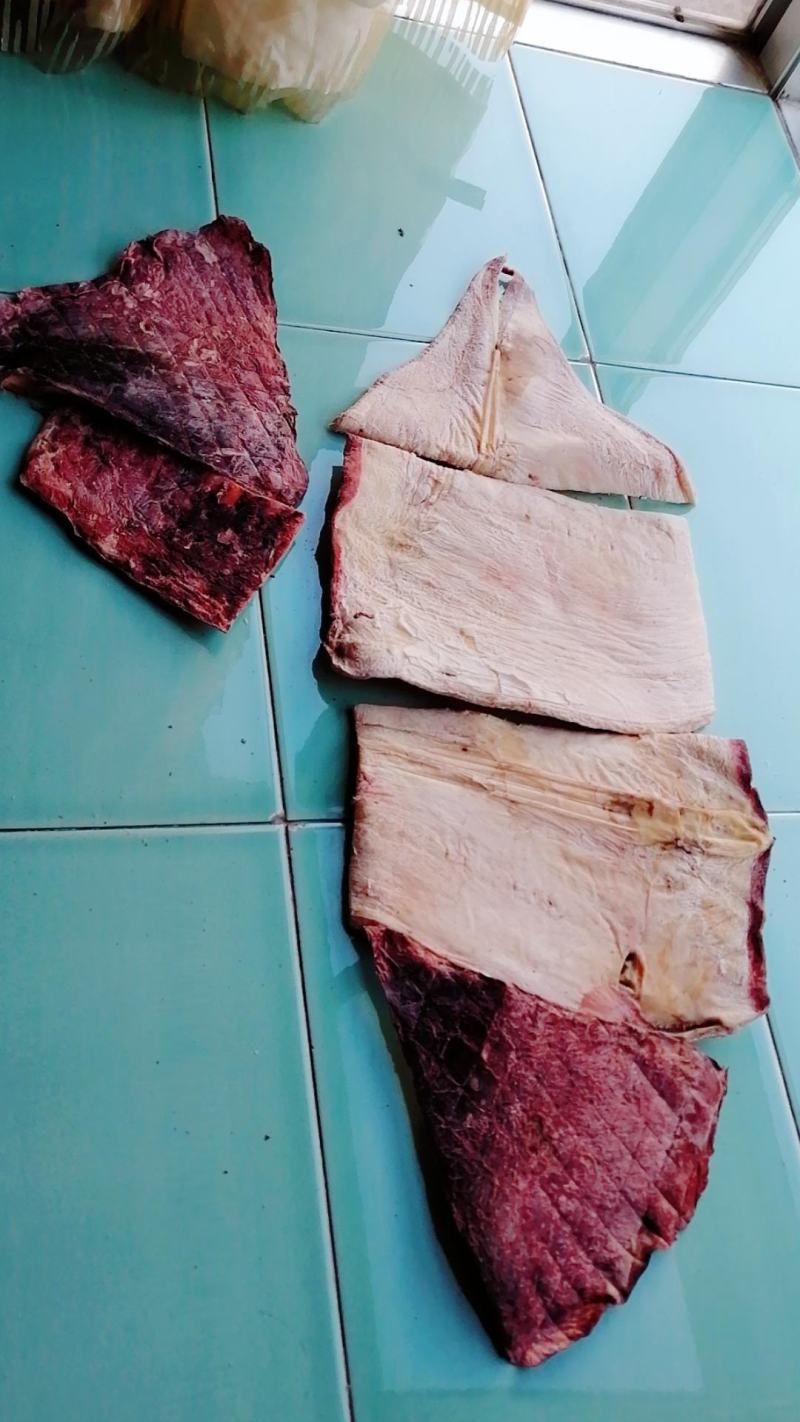 【新货】鱿鱼干干货特级大号盐干鱿鱼干淡干犹鱼干海