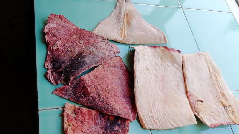 【新货】鱿鱼干干货特级大号盐干鱿鱼干淡干犹鱼干海