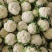 花菜，乳白，1到3斤左右，承接加工厂，商超，产地直供