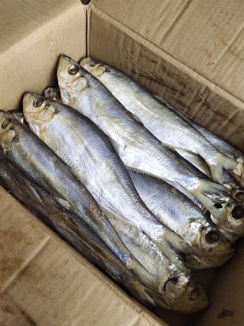 咸鱼白鳞鱼咸鱼咸香鱼清蒸鱼腌制海鱼海鲜批发