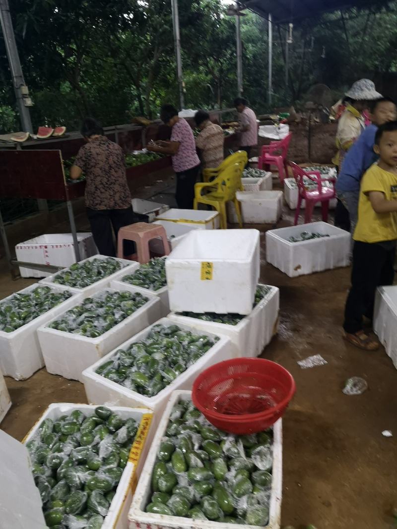 包邮自产台湾香水柠檬芳香无籽实惠装（净重10斤）