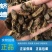 蛴螬500g野生蛴螬干野生土蚕老母虫核桃虫