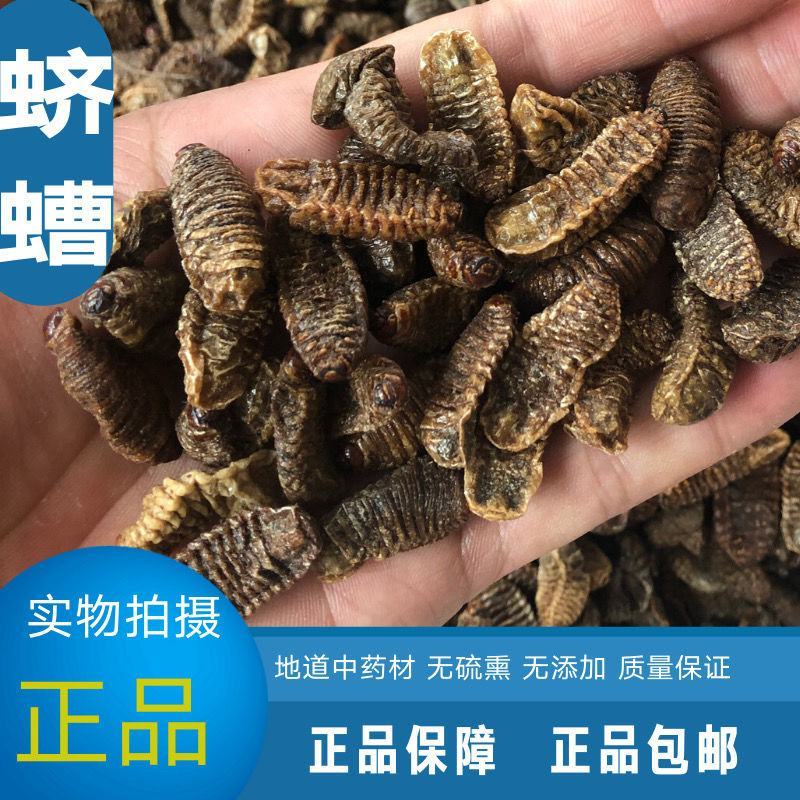 蛴螬500g野生蛴螬干野生土蚕老母虫核桃虫