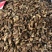 蛴螬500g野生蛴螬干野生土蚕老母虫核桃虫