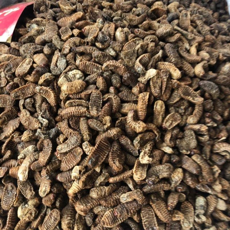 蛴螬500g野生蛴螬干野生土蚕老母虫核桃虫