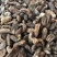 蛴螬500g野生蛴螬干野生土蚕老母虫核桃虫
