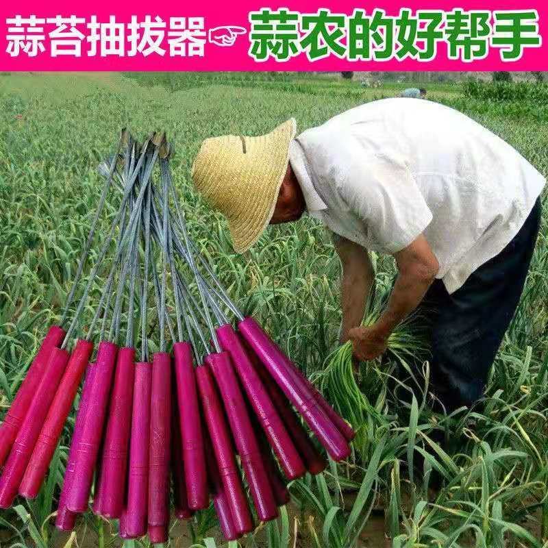 蒜薹剪蒜薹刀蒜薹抽子蒜薹多用刀包邮厂家直销