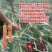 蒜薹剪蒜薹刀蒜薹抽子蒜薹多用刀包邮厂家直销