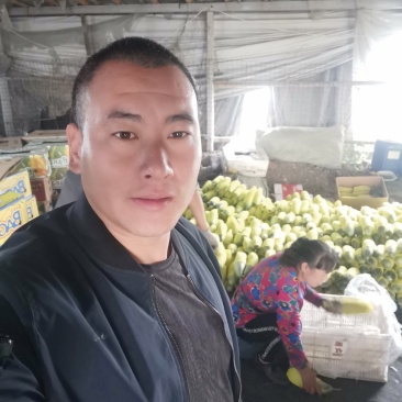 产地直发保质保量羊角蜜甜瓜