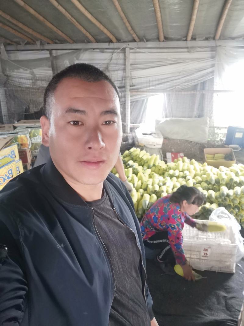 产地直发保质保量羊角蜜甜瓜