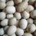河北鸭蛋蛋品新鲜保质保量大量有货全国代发对接批发商超