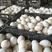 河北鸭蛋蛋品新鲜保质保量大量有货全国代发对接批发商超