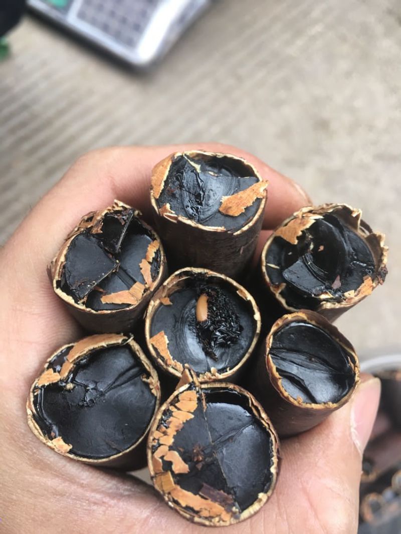 腊肠果便秘果产地批发袋装散装整根价格优势