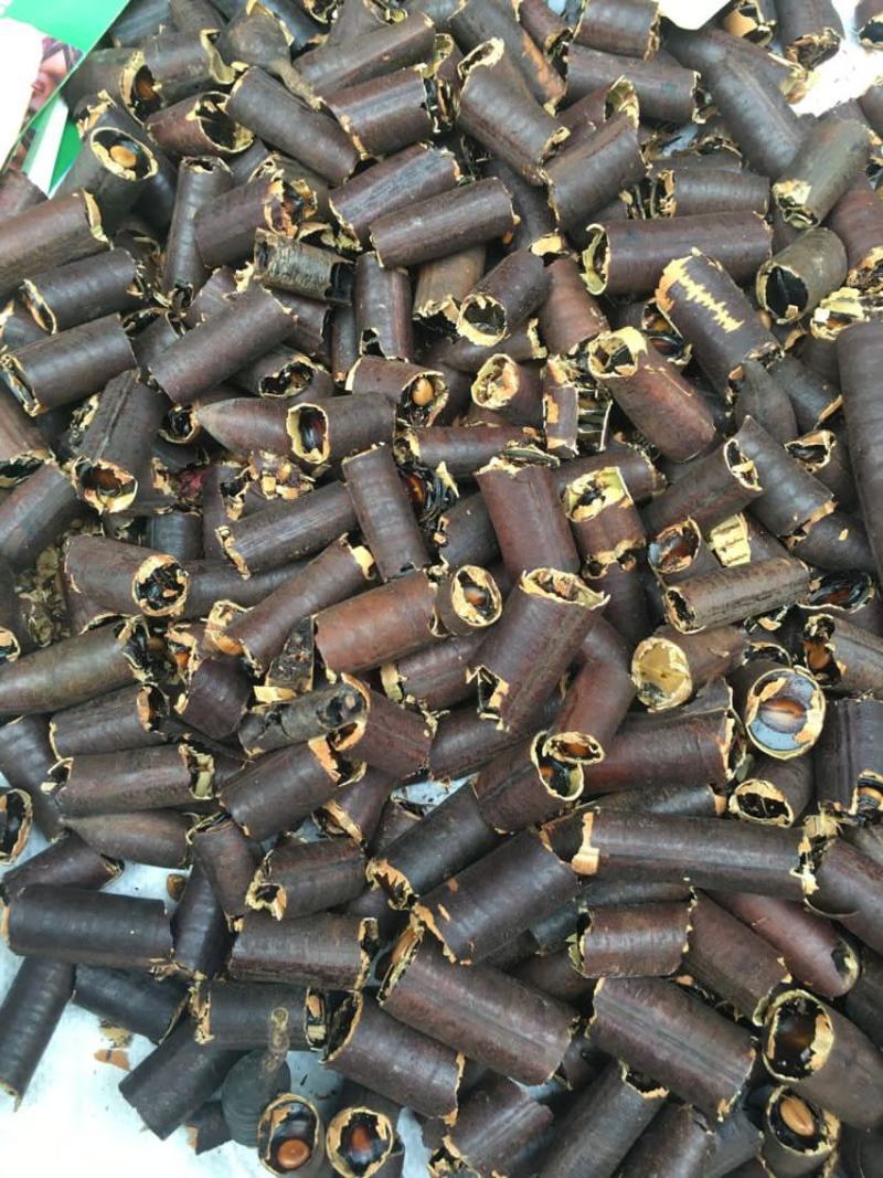 腊肠果便秘果产地批发袋装散装整根价格优势