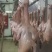 鸽（红烧乳鸽）250g一个