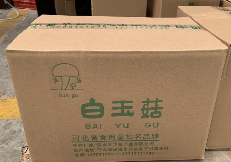 箱装4斤A白玉菇，河北省龙头企业出品