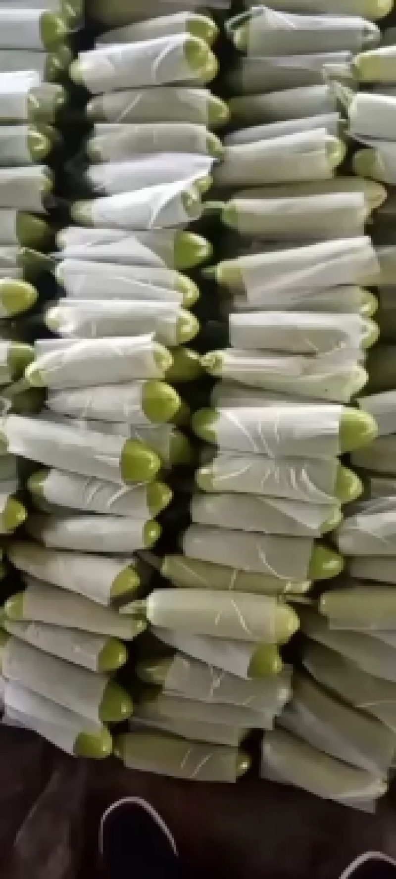 绿皮西葫芦山东西葫芦大量供应产地直发质量保证价格便宜