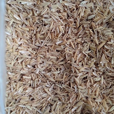 大量供应压缩稻壳，统糠，