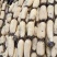 优质精品微山湖莲藕大量供应