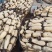 优质精品微山湖莲藕大量供应