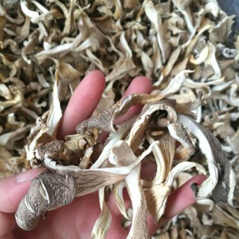 河北干平菇批发干货干蘑菇～干菌菇类白菇干平菇丝量大从优
