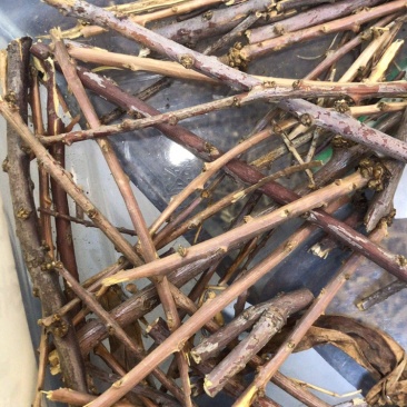 藏香佛事用品香料藏药材藏药批发