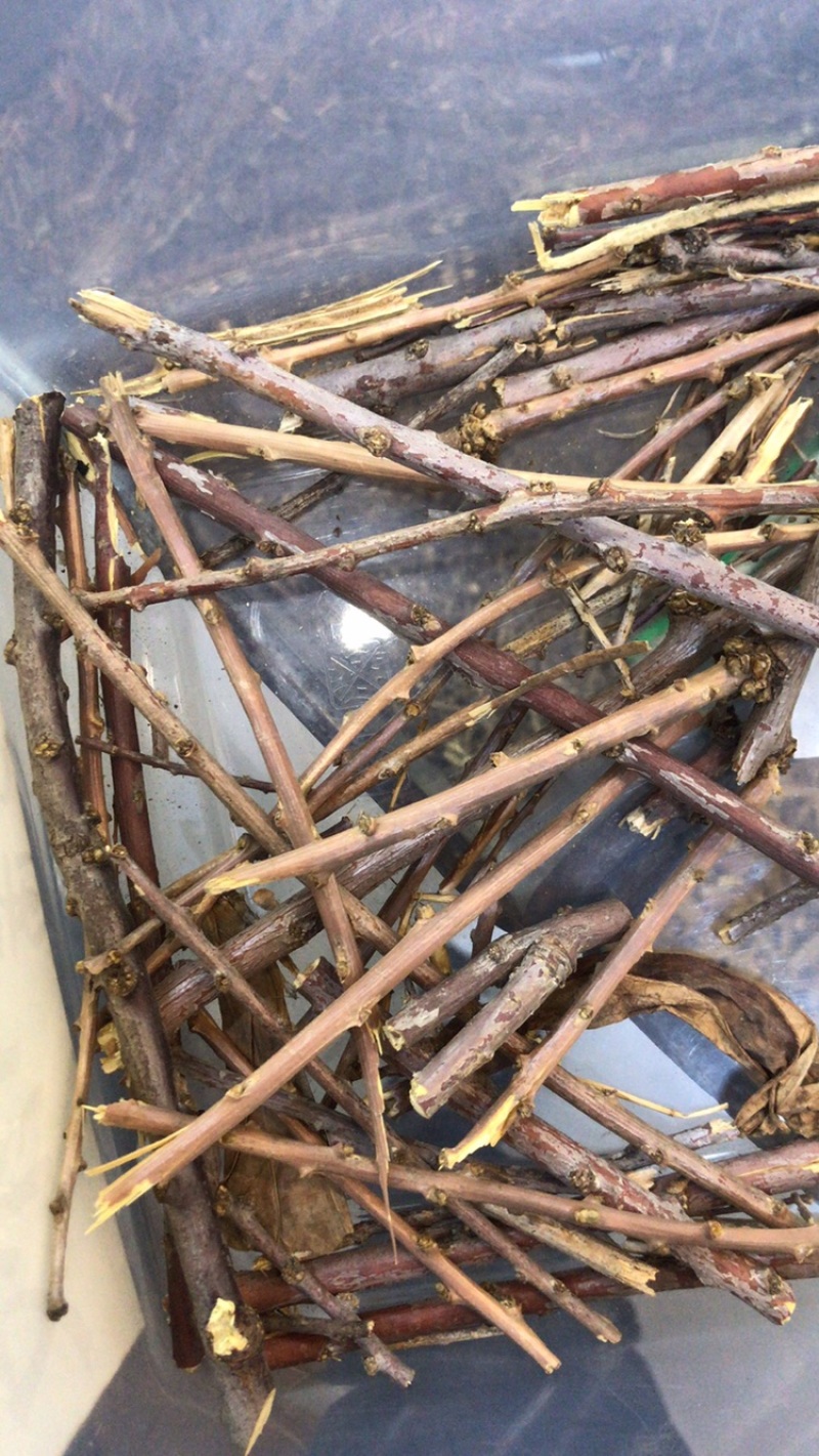 藏香佛事用品香料藏药材藏药批发
