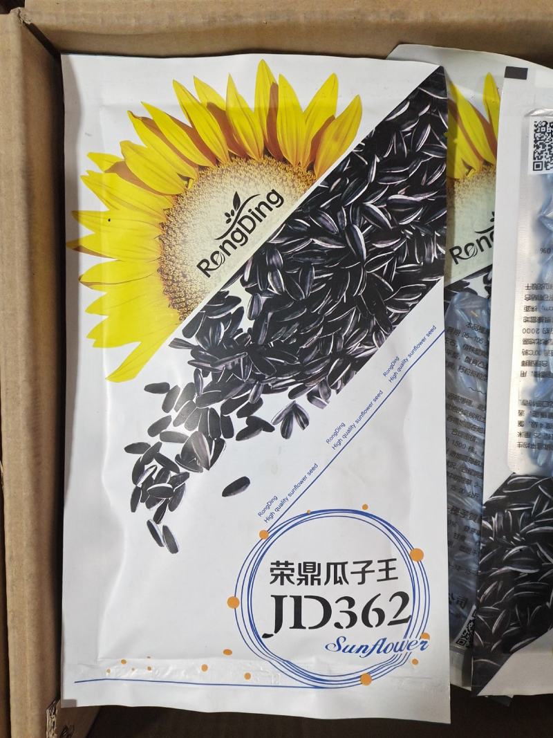 高产进口油葵种子矮颗大头抗倒伏能力强盘发籽实