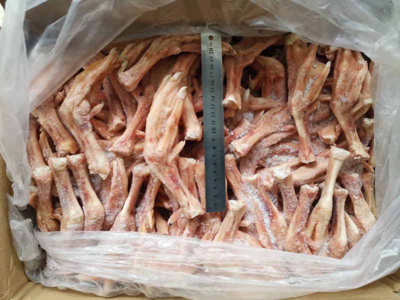 一斤8～9个大鹅掌一箱20斤无瘀血无断掌一手货源质量保证