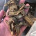 三七片云南文山高档滑头大三七切片包邮干货