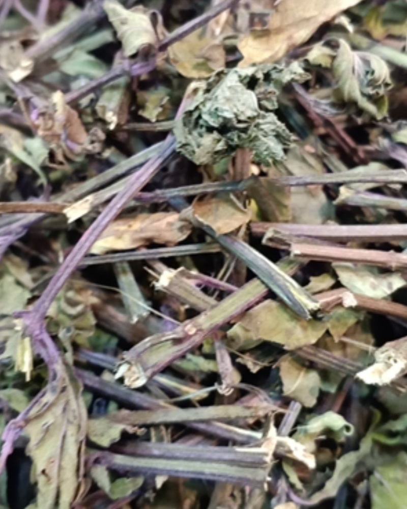 猫须草本店品种齐全种类繁多欢迎合作云南地产货