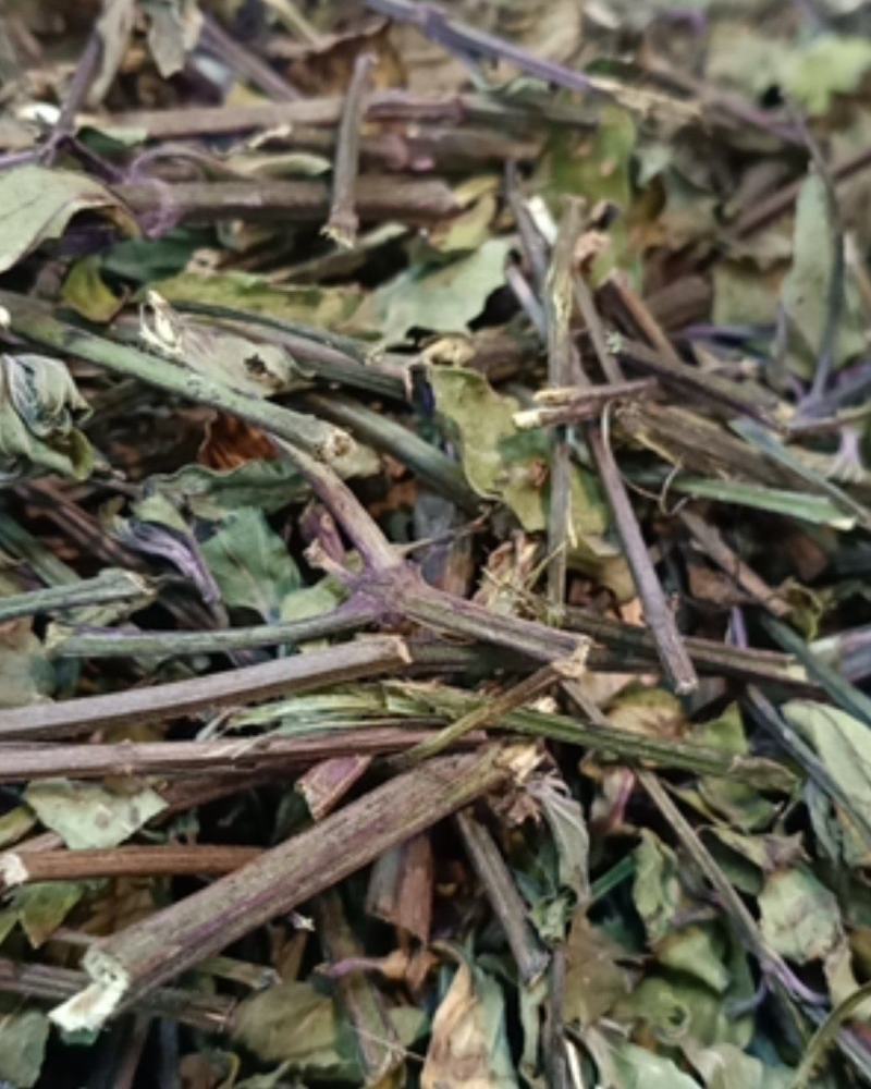 猫须草本店品种齐全种类繁多欢迎合作云南地产货