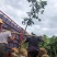 三红蜜柚挂果树三红柚绿化树红皮红肉大苗福建柚子树