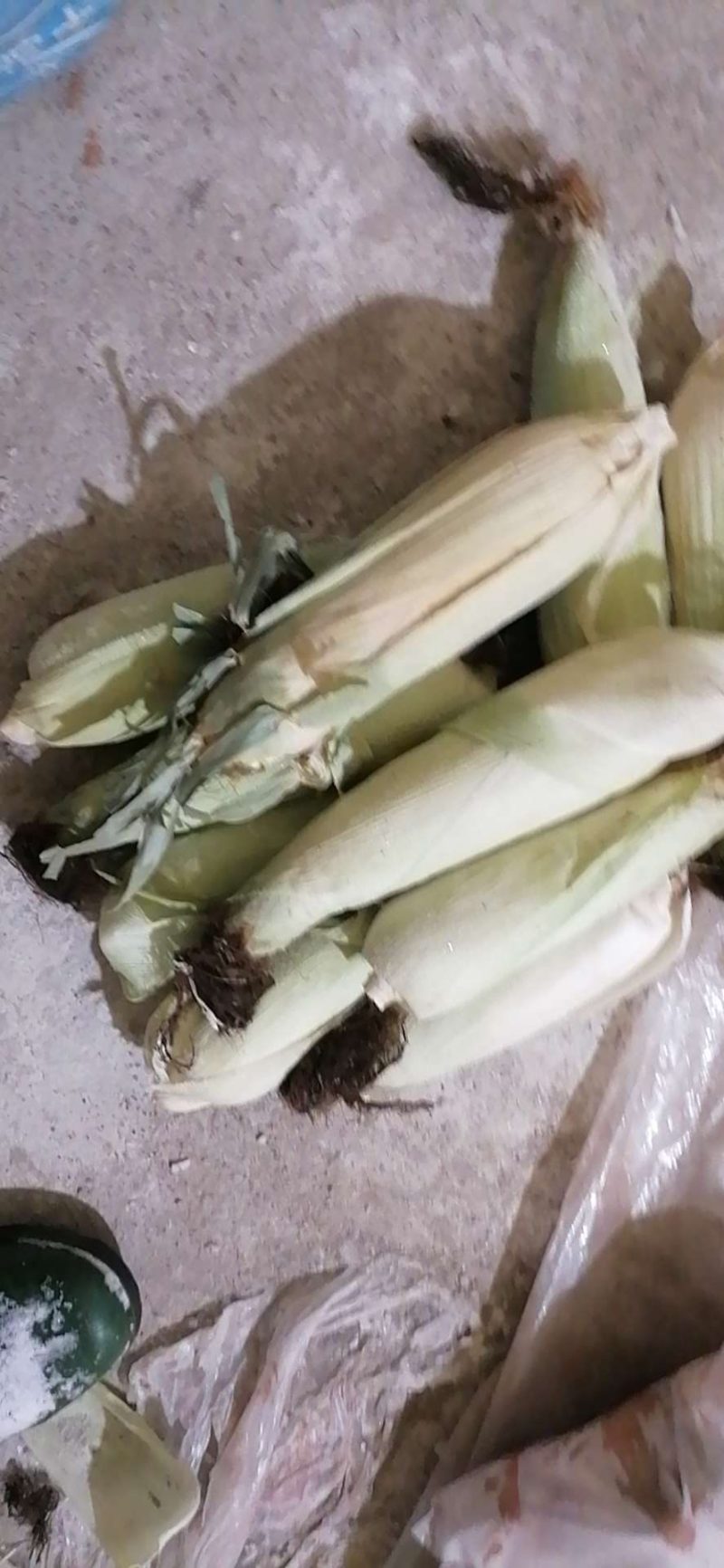 速冻鲜食粘玉米，黄色白色